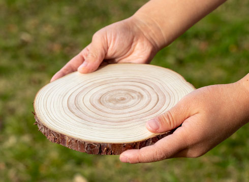 丸太の輪切りを持つ手の写真
