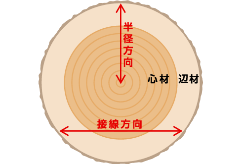 丸太の輪切りの断面図